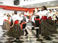 bailes tipicos