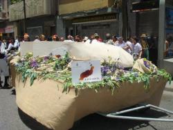romeria